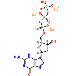 ODM 2' - solution saline CAS 93919-41-6 de sodium de Deoxyguanosine-5'-Triphosphate