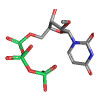 N1-Me-PUTP N1-Methyl-Pseudouridine 5' - solution trisodique du sel 100mM de triphosphate