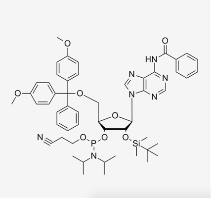 Synthèse -2'-O-TBDMS-A (BZ) - ce-Cyanoethyl Phosphoramidite d'oligonucléotide d'ARN de CAS 104992-55-4