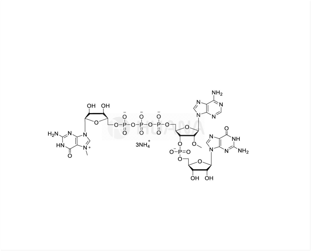CAP GAG m7G(5')ppp(5')(2'OMeA)pG 100mM Solution d'ammonium, de qualité GMP