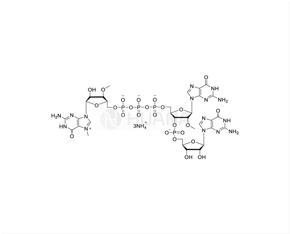CAP GGG ((3'OMe) m7 ((3'OMeG) ((5') ppp ((5') ((2'OMeG) pG Solution d'ammonium de 100 mM