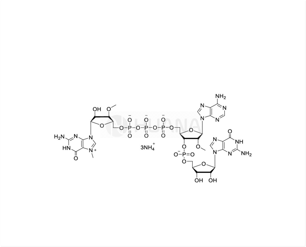 CAP GAG ((3'OMe) m7 ((3'OMeG) ((5') ppp ((5') ((2'OMeA) pG 100mM Solution d'ammonium, de qualité GMP