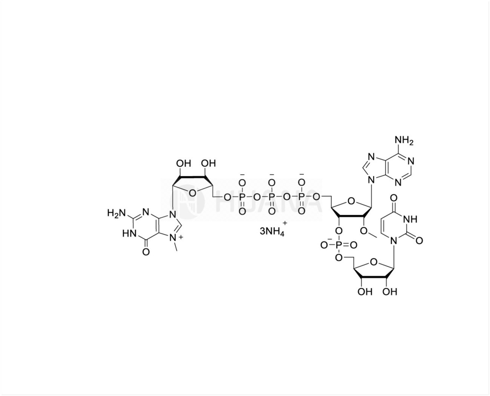 CAP GAU m7G(5')ppp(5')(2'OMeA)pU 100mM Solution d'ammonium, de qualité GMP