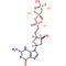 ODM 2' - solution saline CAS 93919-41-6 de sodium de Deoxyguanosine-5'-Triphosphate