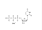 Solution de mélange de DNTP Deoxynucleotide pour l'ACP 10ml 25mM